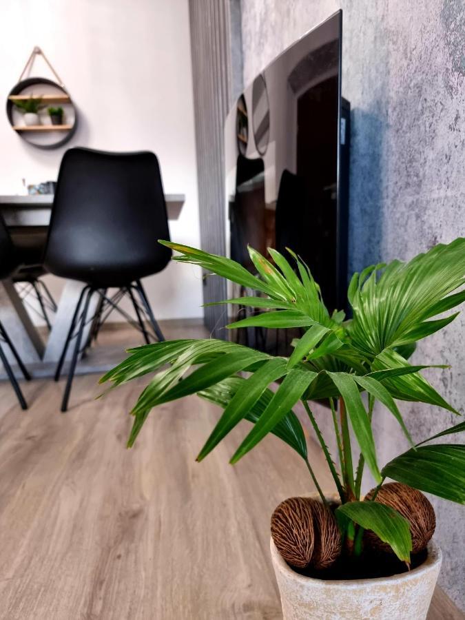 Apartament Jelonek W Karkonoszach 耶莱尼亚古拉 外观 照片