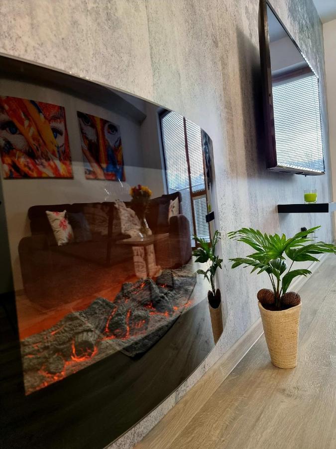 Apartament Jelonek W Karkonoszach 耶莱尼亚古拉 外观 照片