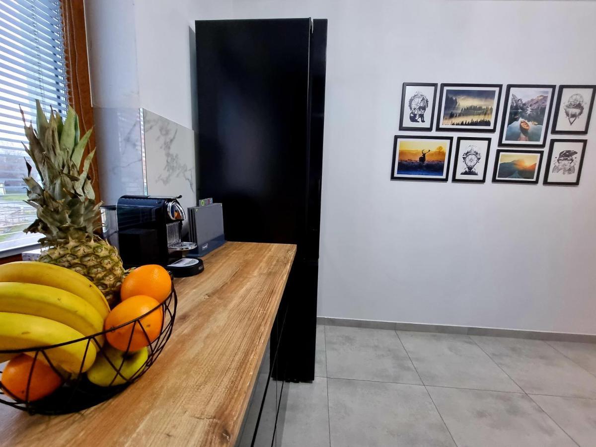 Apartament Jelonek W Karkonoszach 耶莱尼亚古拉 外观 照片