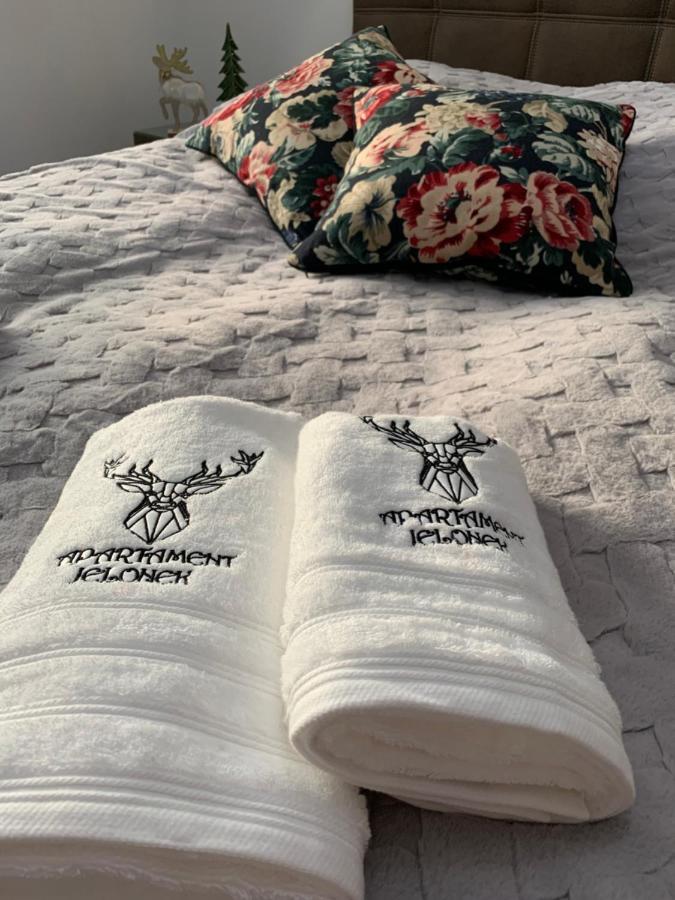 Apartament Jelonek W Karkonoszach 耶莱尼亚古拉 外观 照片